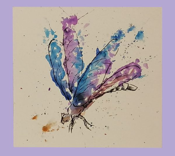 Dragonfly, 11x11xcm, Aquarell auf Papier